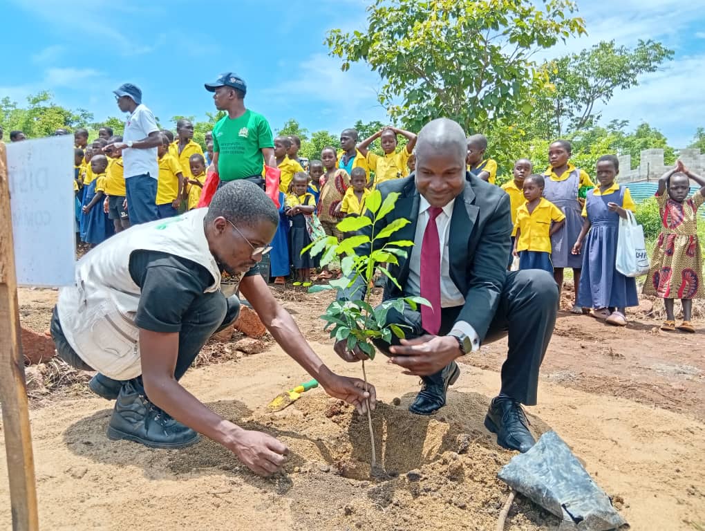 Nkhotakota District Council reduces tree-planting target to improve survival of seedlings